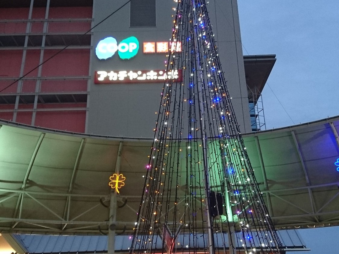 Acta Nishinomiya-西宫市必去景点