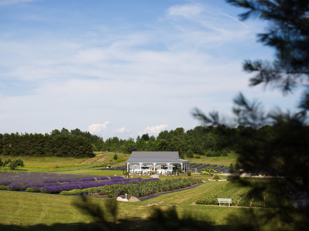 Secret Garden at Brys Estate-特拉弗斯城必去景点
