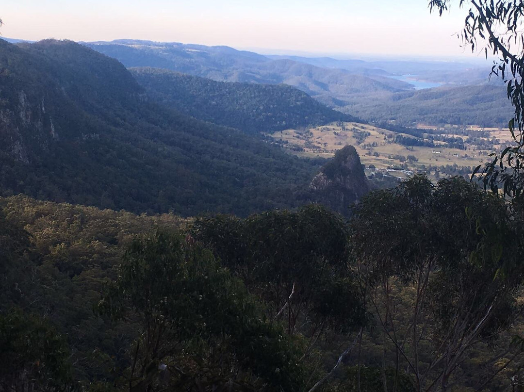 Bellbird Lookout & Circuit景点图片