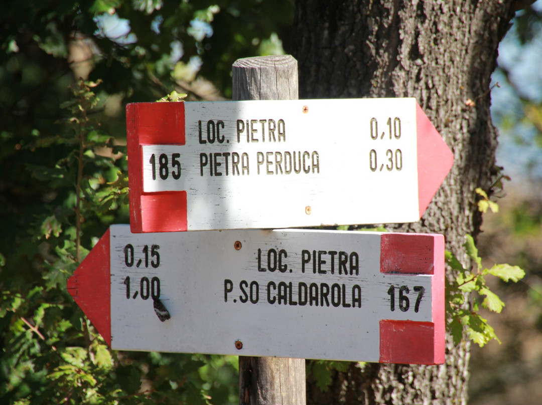Pietra Parcellara景点图片