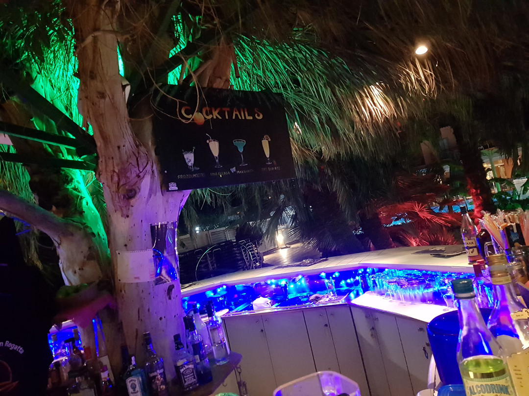 Tree Bar-Nidri必去景点