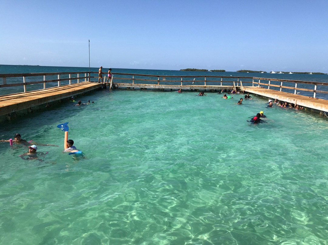 La Parguera旅游攻略图片