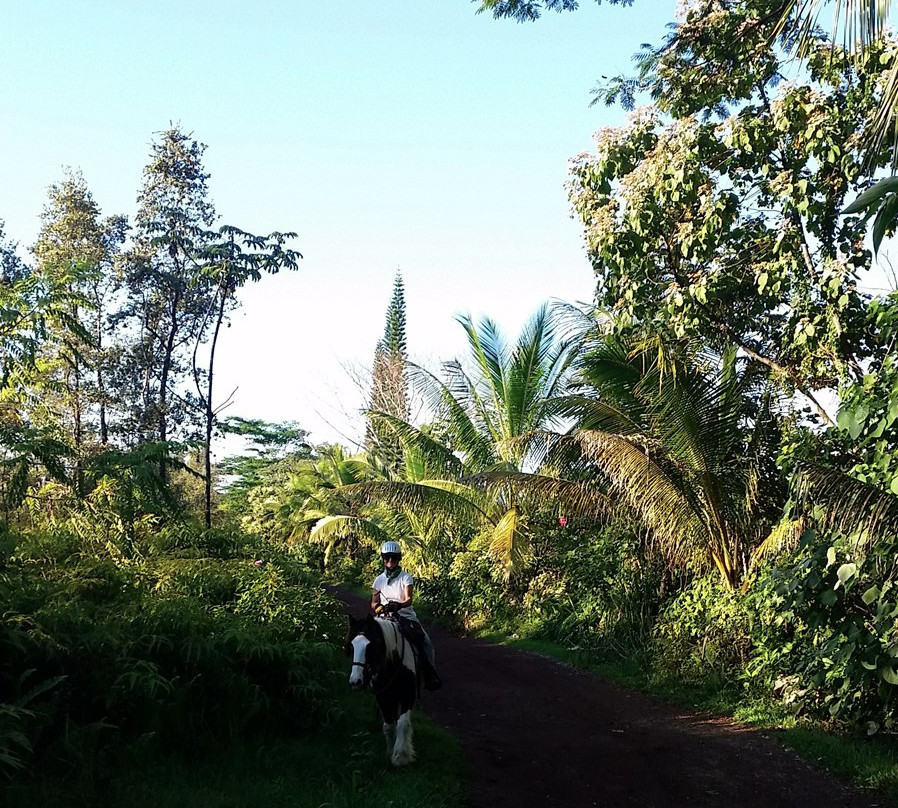 Silver Crest Farms-Kapoho必去景点