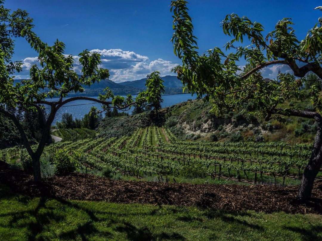 Kettle Valley Winery景点图片