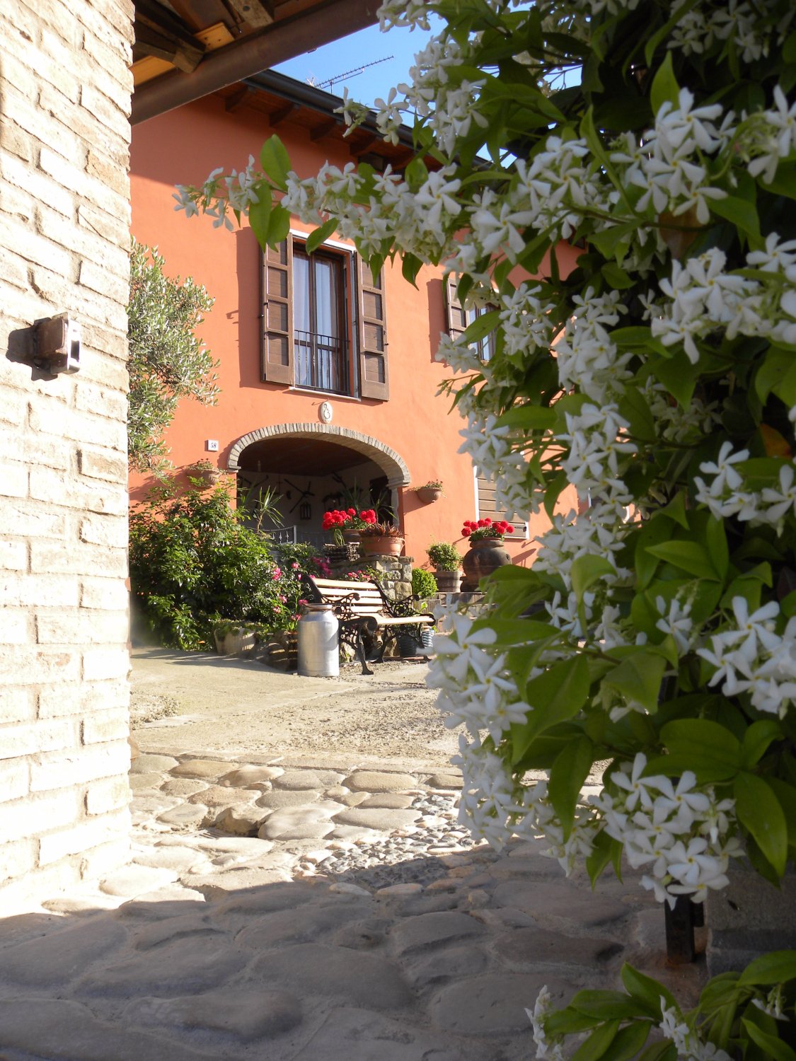 B&B Olmo Antico-官方