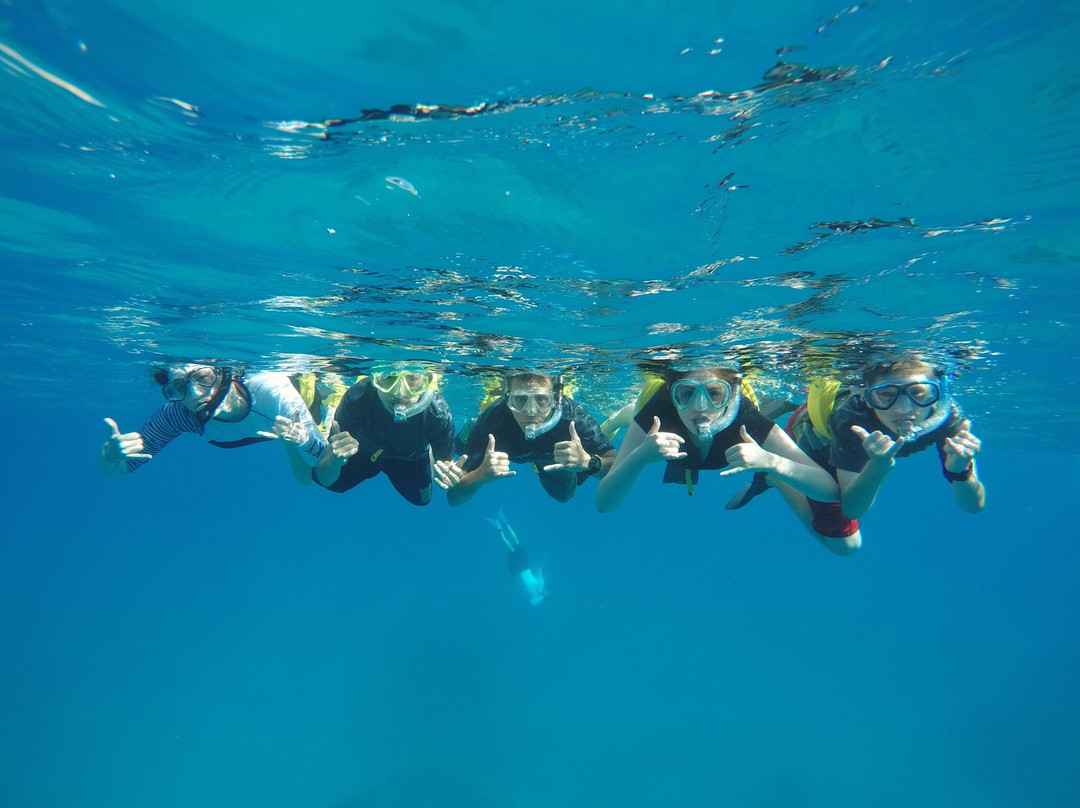 Pure Aloha Adventures-火奴鲁鲁必去景点