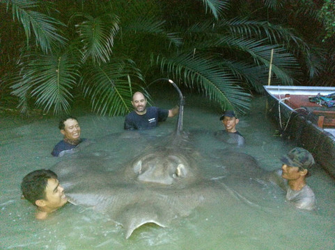 The Big Blues-拉威必去景点