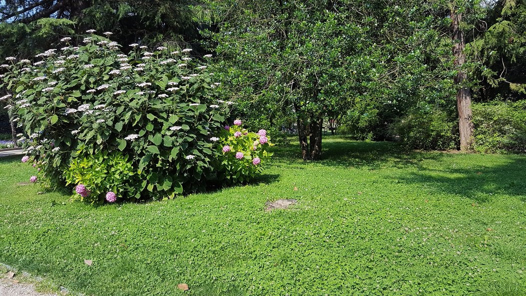 I Giardini Centrali di Arco景点图片