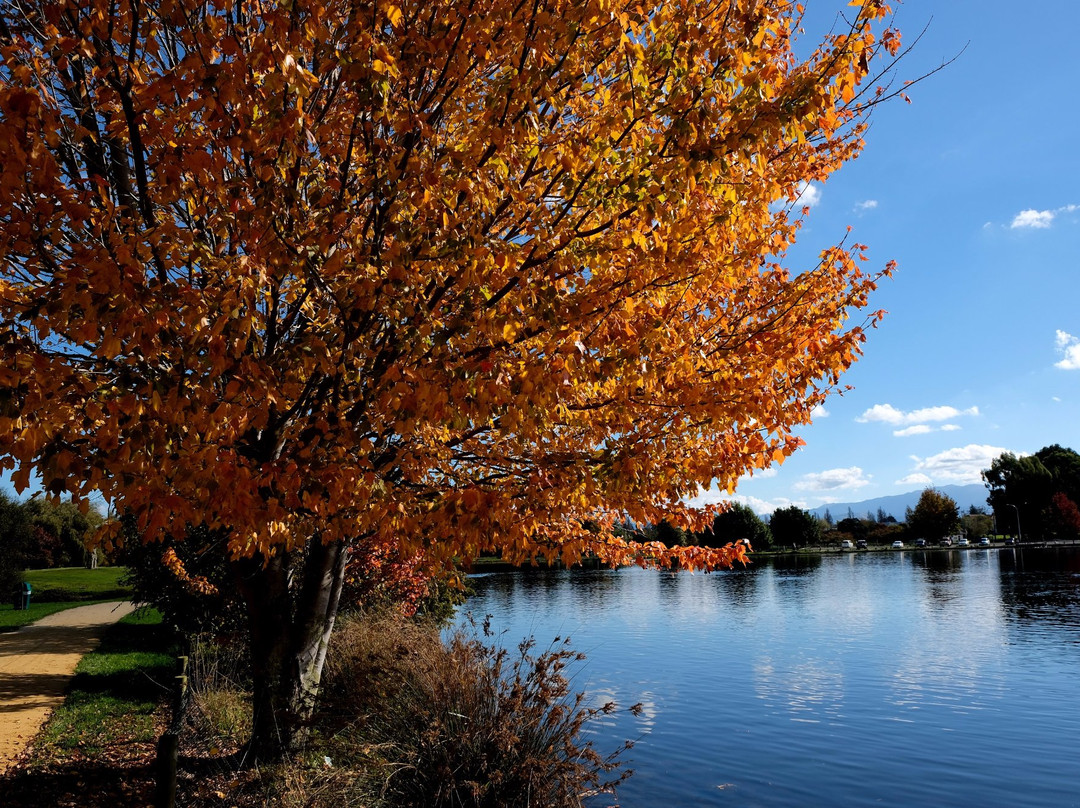 Henley Lake景点图片