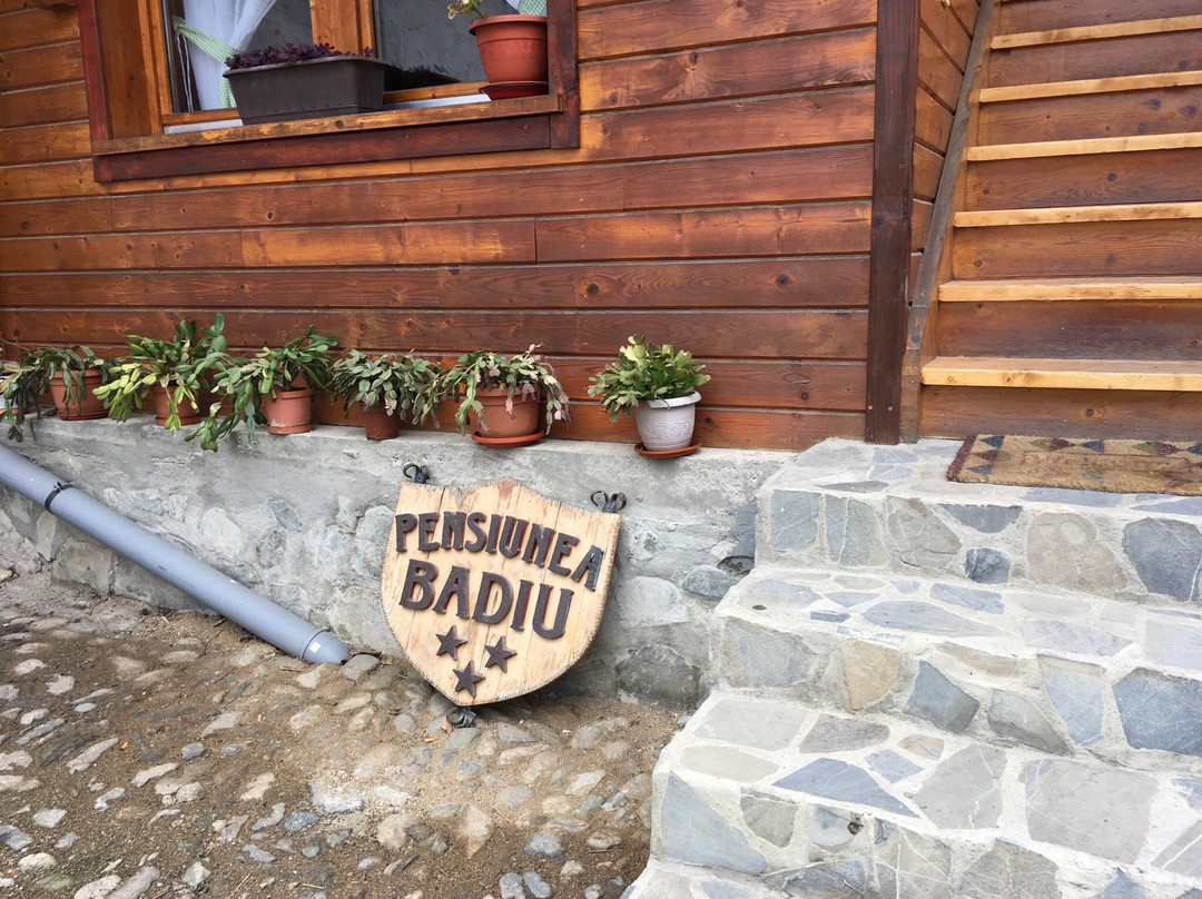 Badiu's Guest House主图