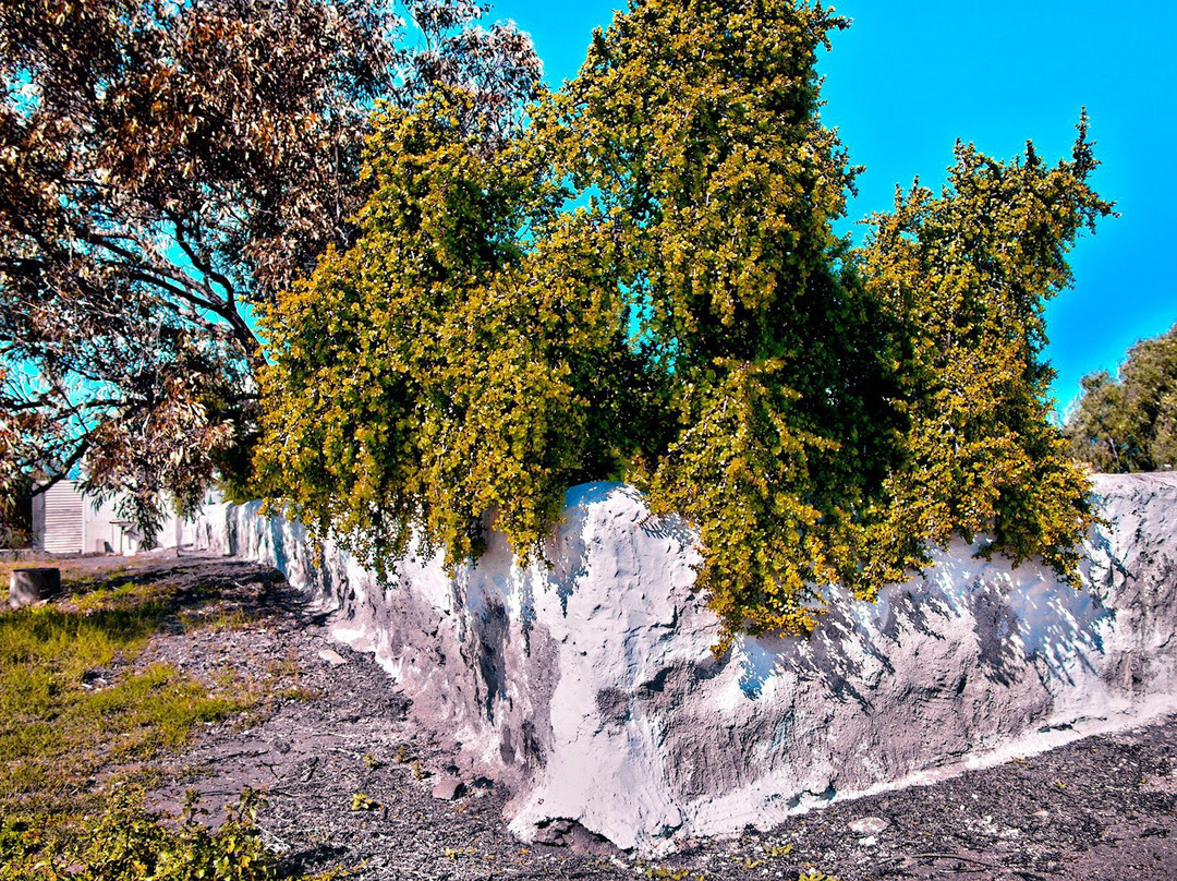 Northampton旅游攻略图片