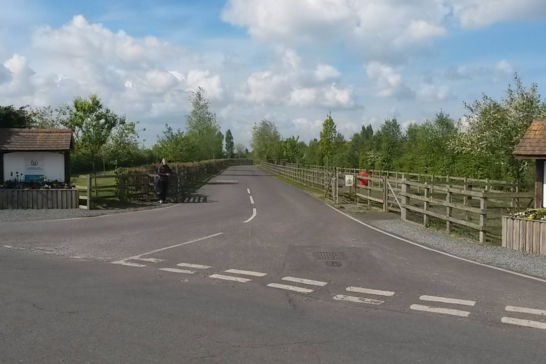 New Forest Caravan and Motorhome Club Centenary Campsite