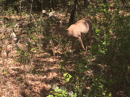 Eagle Mountain Park-沃思堡必去景点