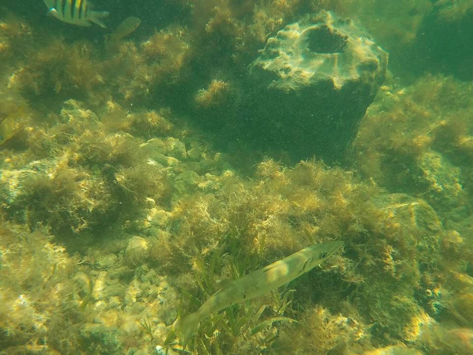 Surf You To The Moon-伊斯拉摩拉达必去景点