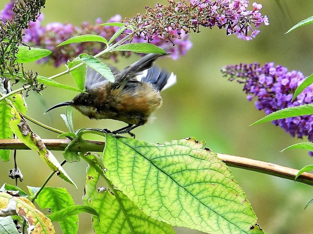 Belgrave Lake Park-贝尔格雷夫必去景点
