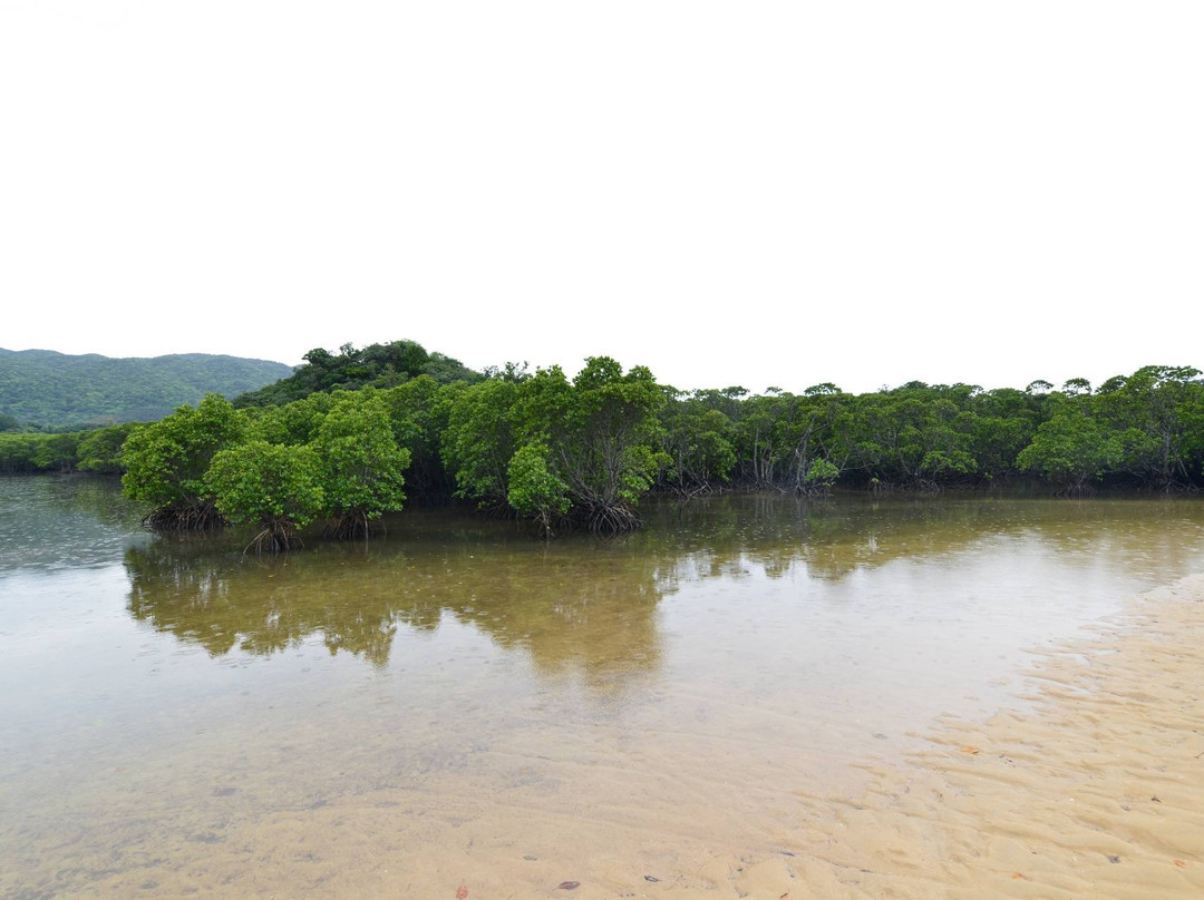 Miyara River Hirugi Grove景点图片