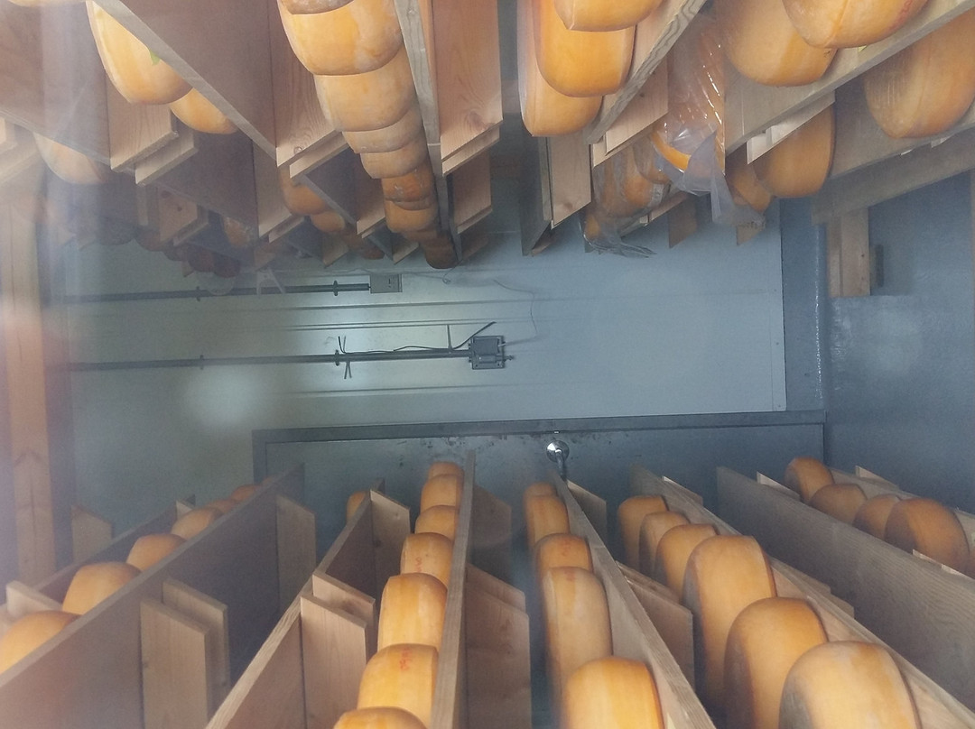 Milner Valley Cheese-兰里市必去景点