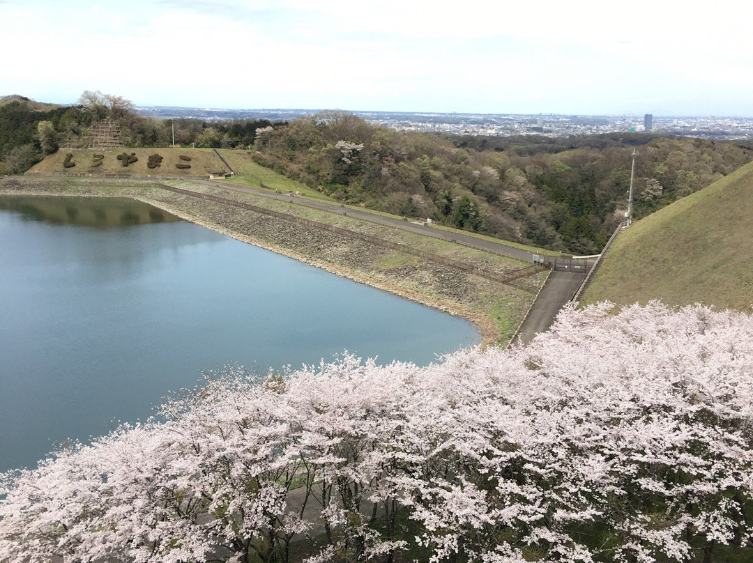 Shiroyama Lake-相模原市必去景点