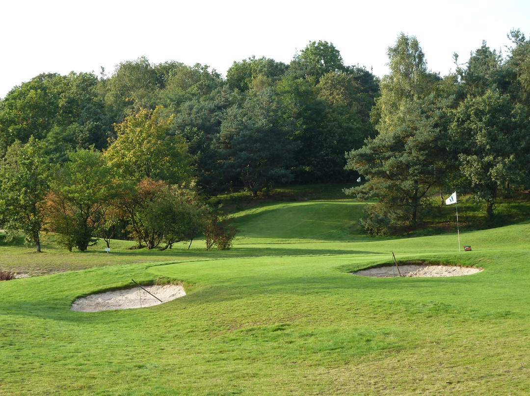 Pitch&Putt Golf Molenhoek景点图片