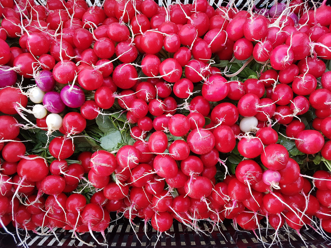 The Local Harvest Market景点图片