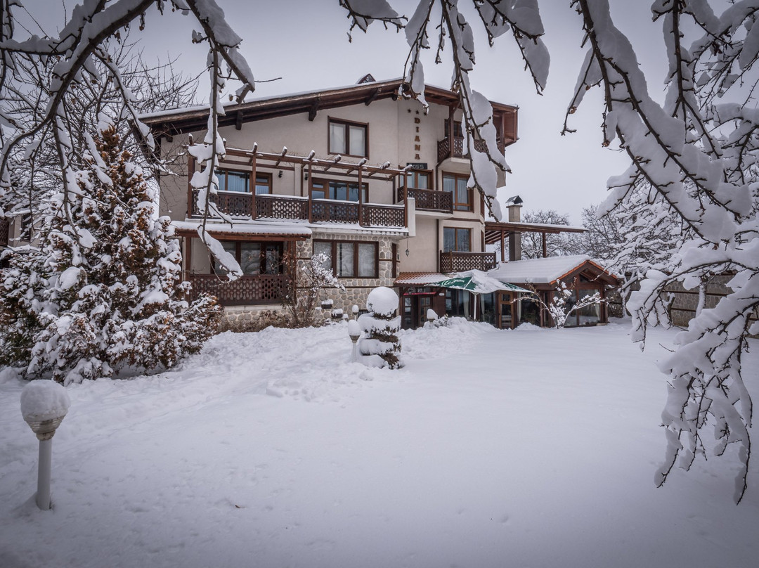 Snomads Eco Chalet Diana-Ross & Chalet Supreme