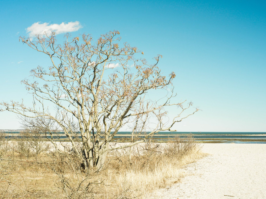Short Beach-Stratford必去景点
