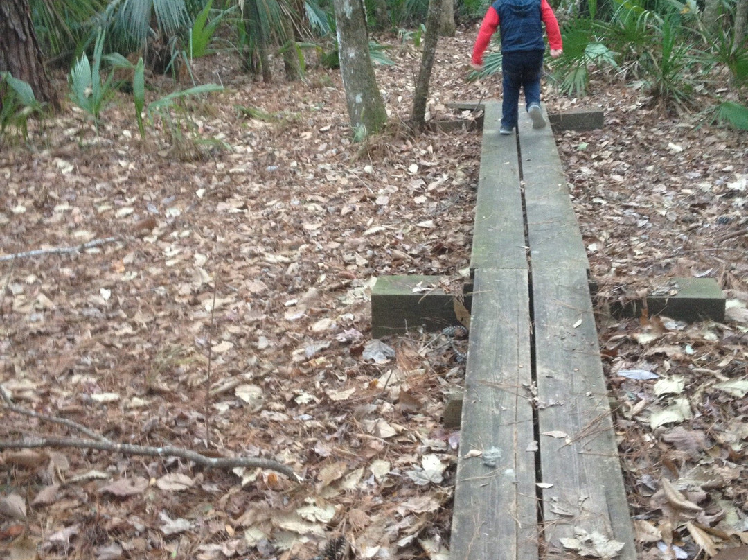 Rice Creek Conservation Area-Palatka必去景点