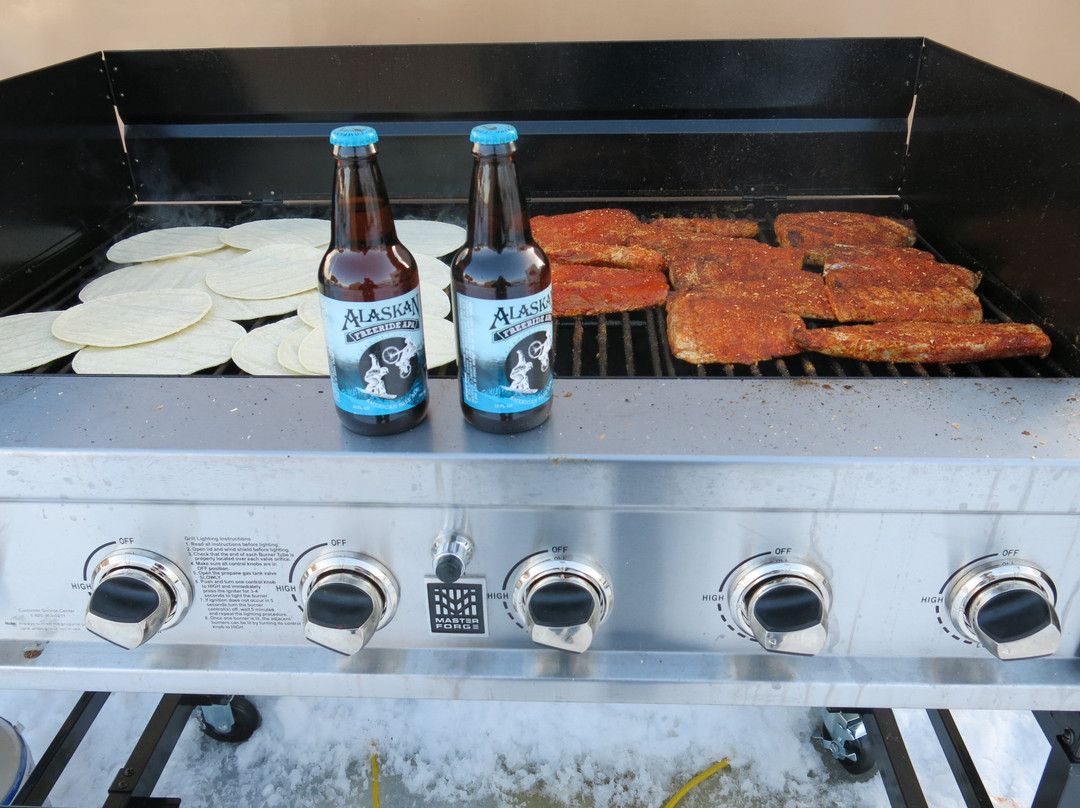 Alaska Snowboard Guides-瓦尔迪兹必去景点