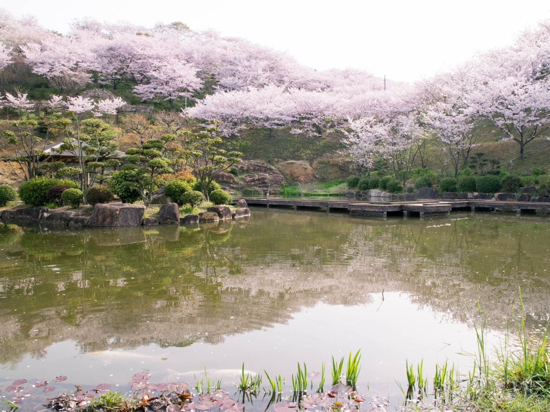 Tanematsuyama Park-仓敷市必去景点