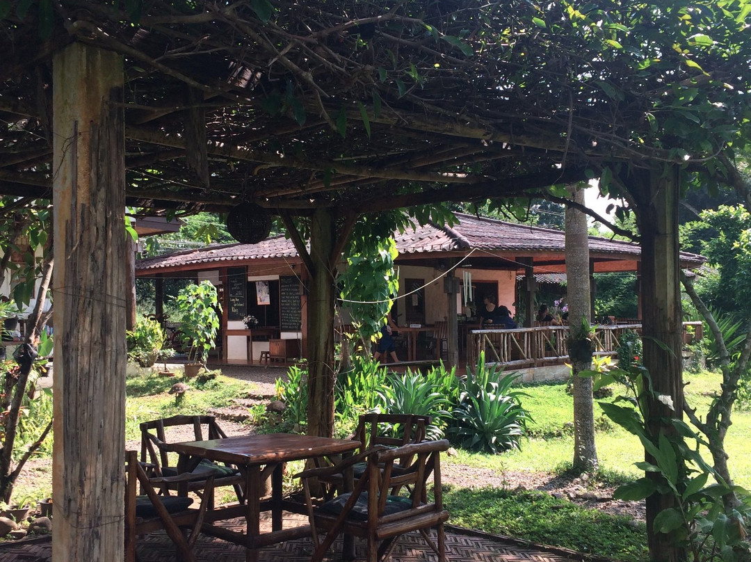 Mueang Ngai餐馆和美食-Chiang Dao Nest 1 Restaurant