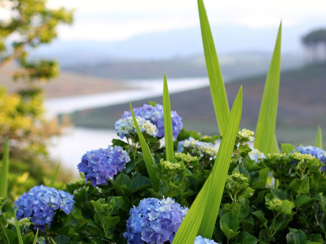 Blueberry Heights Farm-海纳茨堡必去景点