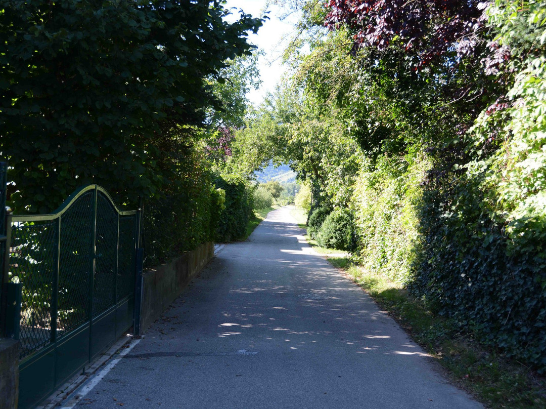 Fähre Dürnstein-都恩石必去景点