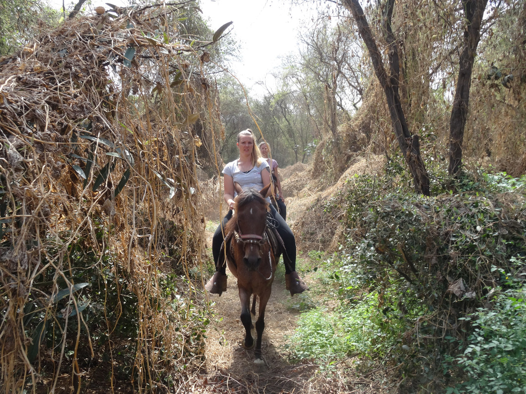 Rancho Santana horseback riding Peru-帕科拉必去景点