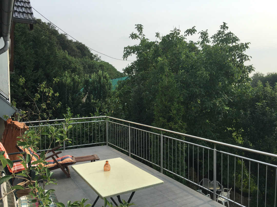 Balance-Recovery Life-Center Guest House主图