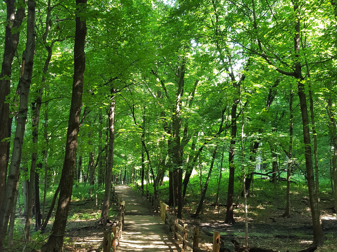River Trail Nature Center-诺斯布鲁克必去景点