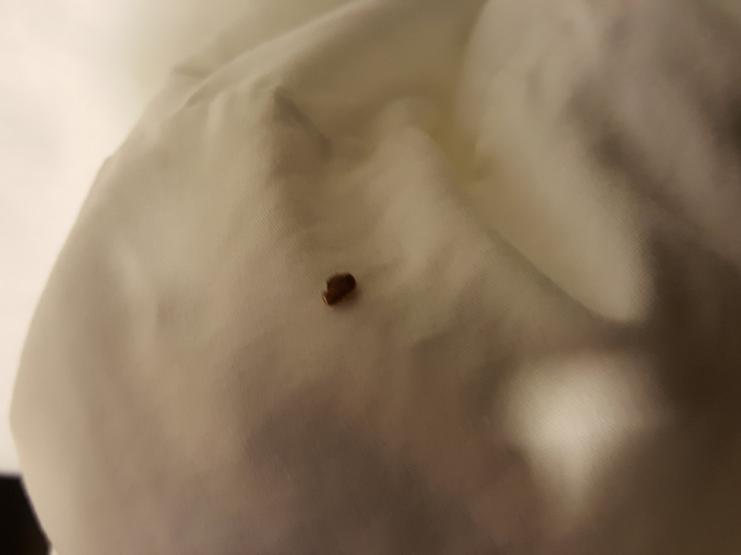 Texas Lodge Kenedy主图