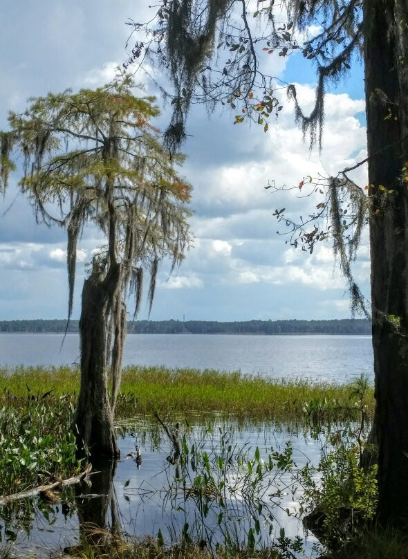 Osceola National Forest-Sanderson必去景点