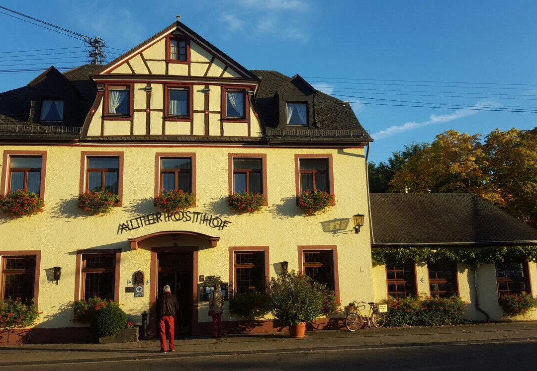 Dachsenhausen餐馆和美食-Alter Posthof