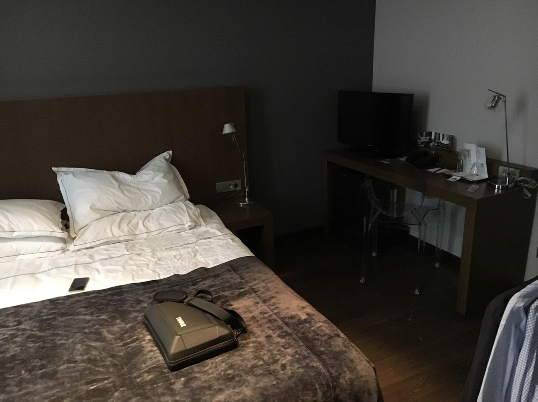 Hotel Domus主图