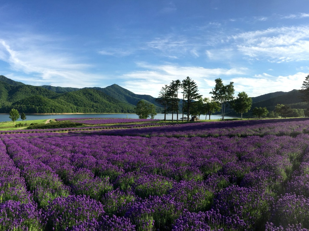 Lake Kanayama Forest Park-南富良野町必去景点