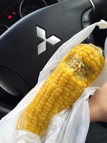 Michi-no-Eki Gurutto Panorama Bihorotoge-美幌町必去景点