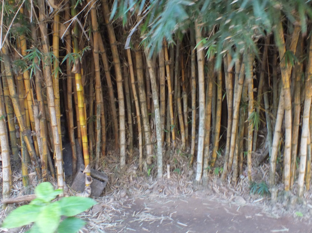 Exotic Gardens of Bouknadel-Bouknadel必去景点