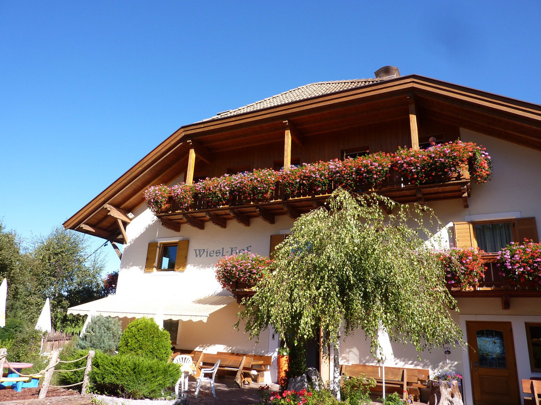 Cornedo all'Isarco酒店住宿-Hotel Wieslhof