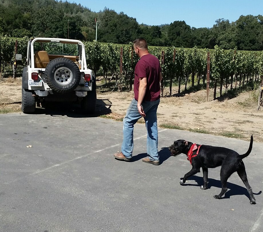 Anderson's Conn Valley Vineyards景点图片