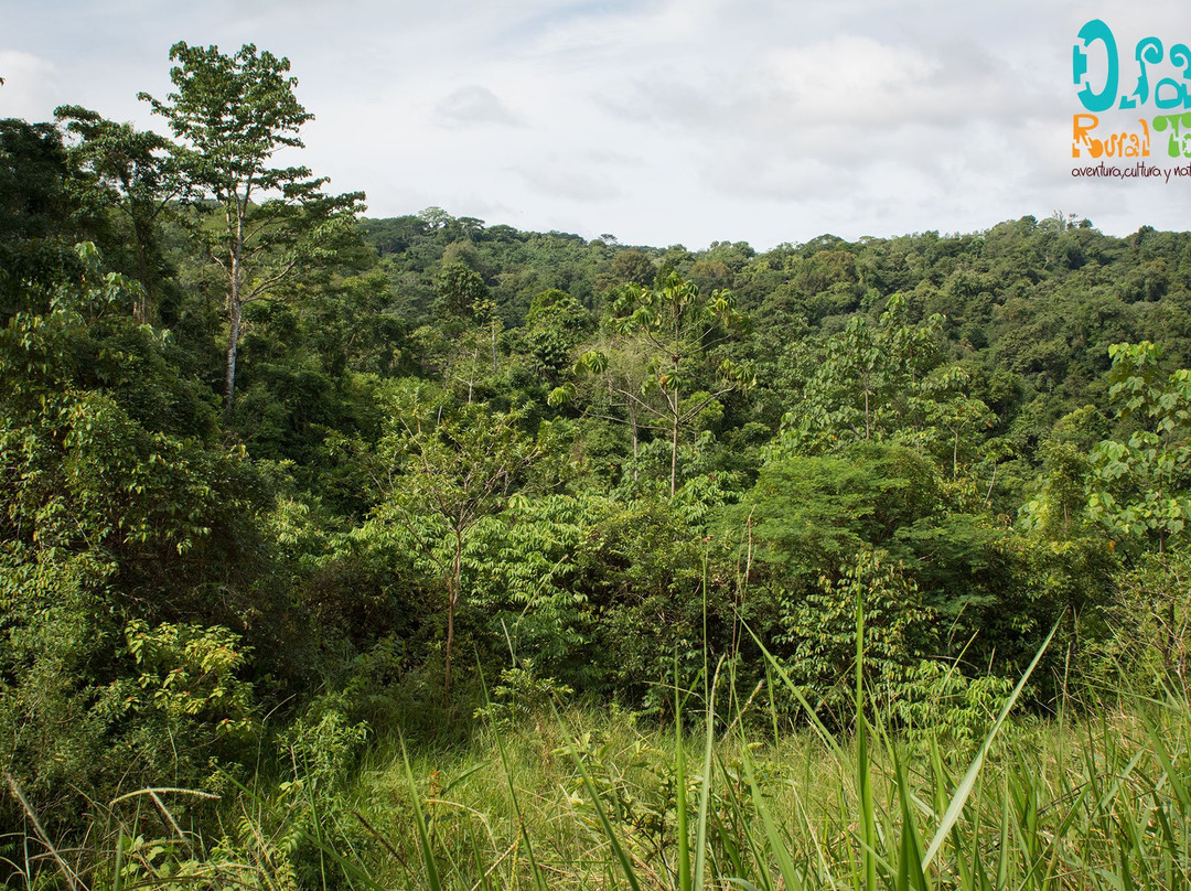 Agroforestal La Tarde景点图片