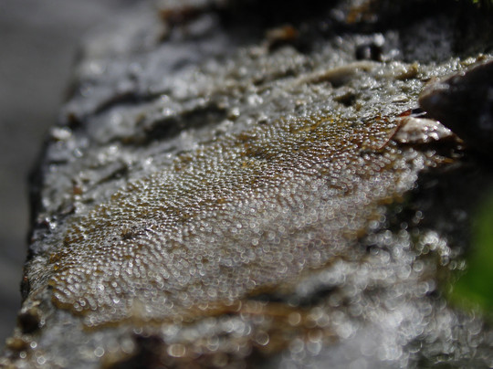 Aquanaut Tours-斯瓦科普蒙德必去景点