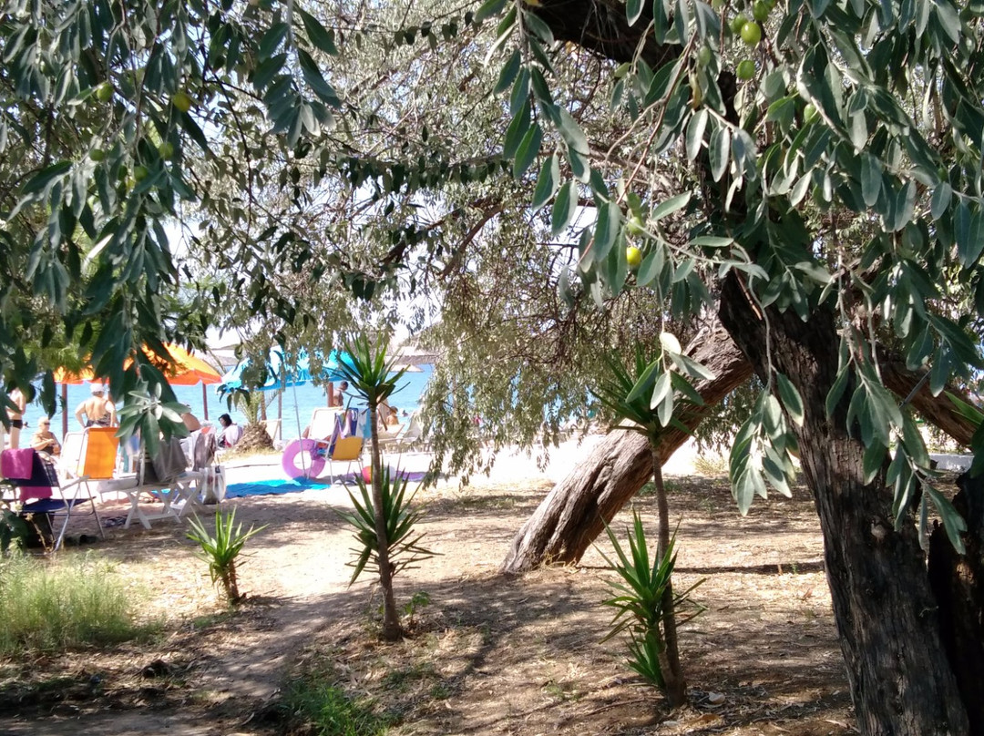 Dionisiou Beach景点图片