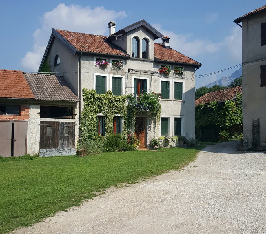 B&b Col del Vin主图