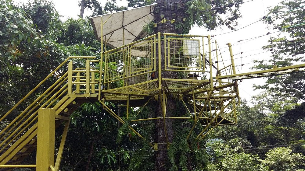 Tree Top Adventure Subic-苏比克湾自由贸易区必去景点