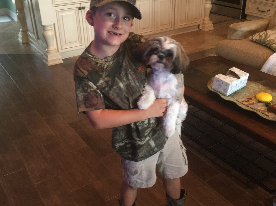 Berlin Pets-Millersburg必去景点